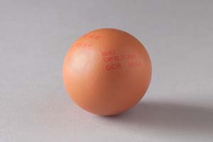نمونه چاپ بر روی تخم مرغ